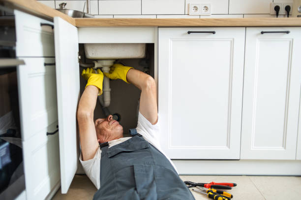 Best Plumbing Services Near Me  in Long Grove, IL